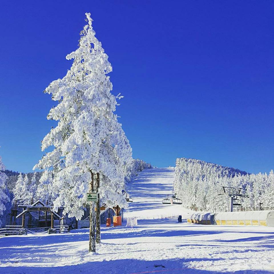 Javnim konkursom do najboljeg slogana Foto--Nemanja Cerović
