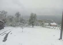 naslovna Bosko