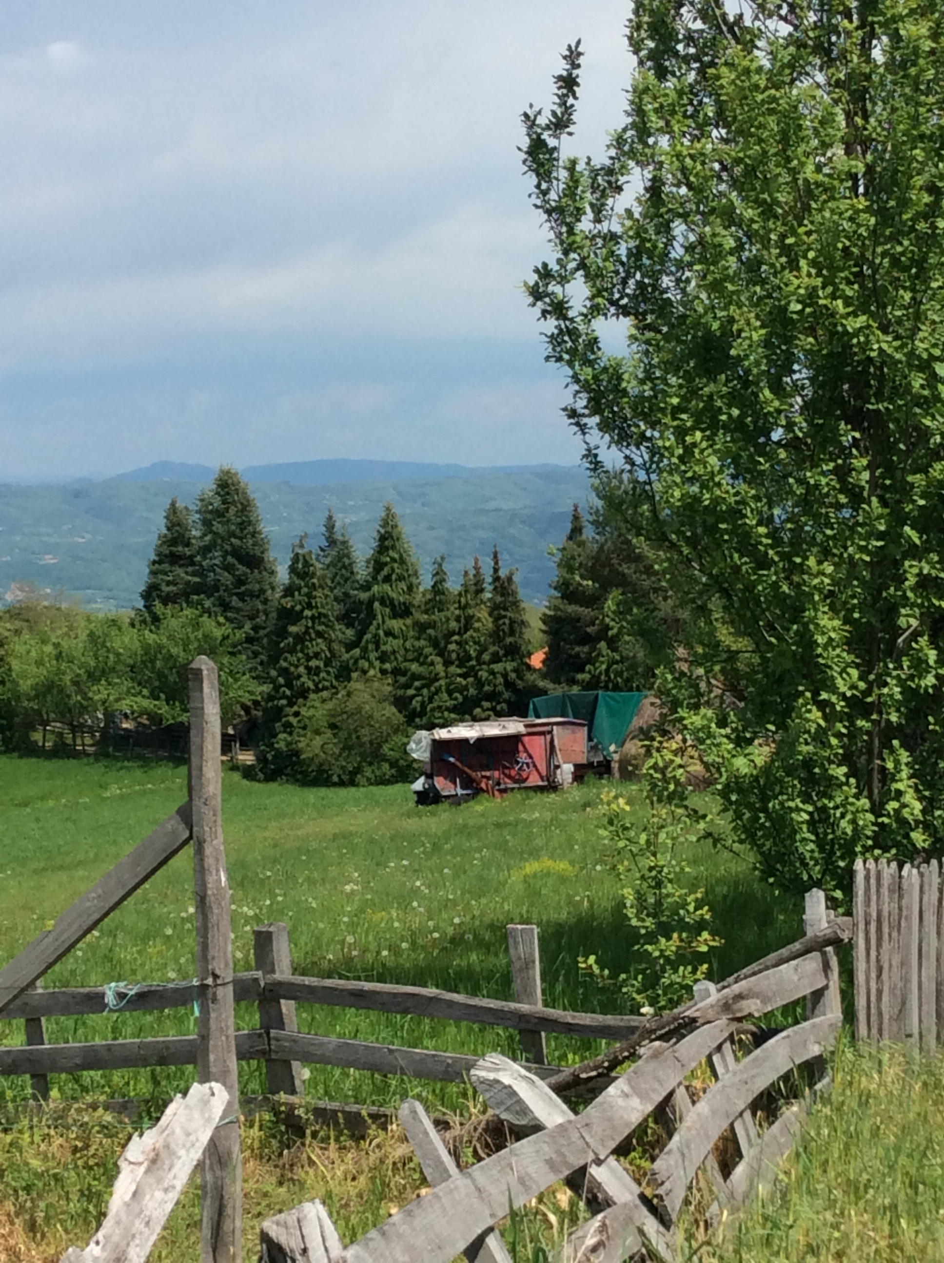U određenom procentu opština Nova Varoš subvencioniše nabavku opreme i mehanizacije za pripremu, distribuciju i skladištenje stočne hrane Foto--URP