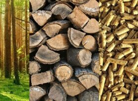 Priboj među prvima koristi biomasu