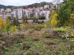 Užice dobija nova zelena pluća