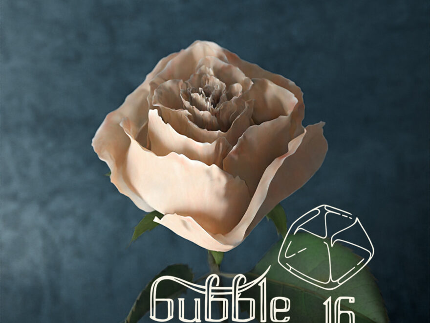 Otvorene prijave za „Bubble Cup 16“