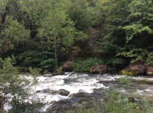 Obuka za odbranu od poplava i bujica