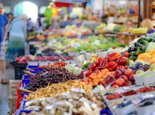 U Prijepolju obuka za proizvođače i otkupljivače voća i povrća