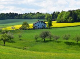 Najveći broj poljoprivrednih gazdinstava u Zlatiborskom okrugu