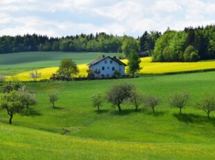 Najveći broj poljoprivrednih gazdinstava u Zlatiborskom okrugu