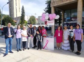 Pandemija Covid-19 otežava dostupnost dijagnostici i lečenju raka dojke