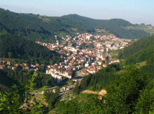 Ubuduće jedna srednja škola u Novoj Varoši