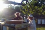 Osam decenija pčelarstva u Užicu