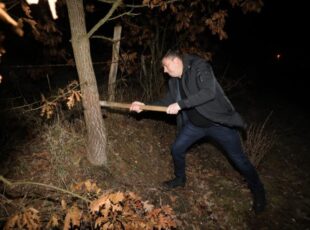 Tradicionalna seča Badnjaka u Gorjanima