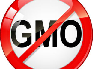 I Užice bez GMO