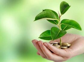 Znanja+ideje+ finansijska pomoć=zelena ekonomija