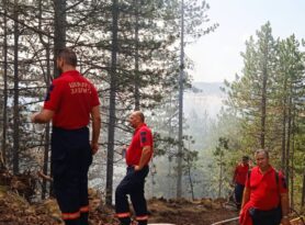 U plamenu više od 100 hektara na Mokroj Gori