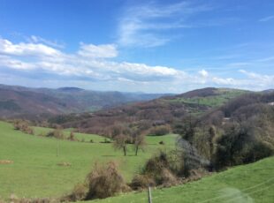 Prezimena i njihovo poreklo na Sjeničko-pešterskoj visoravni
