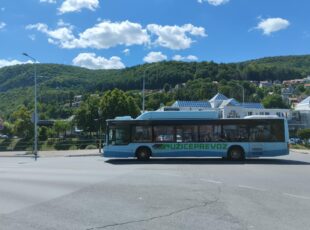 Vanredna autobuska linija za zadušnice u subotu, 1. novembra
