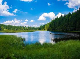 Najlepša jezera za kupanje u Srbiji