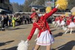 Zlatibor domaćin karavana 56. Praznika mimoze