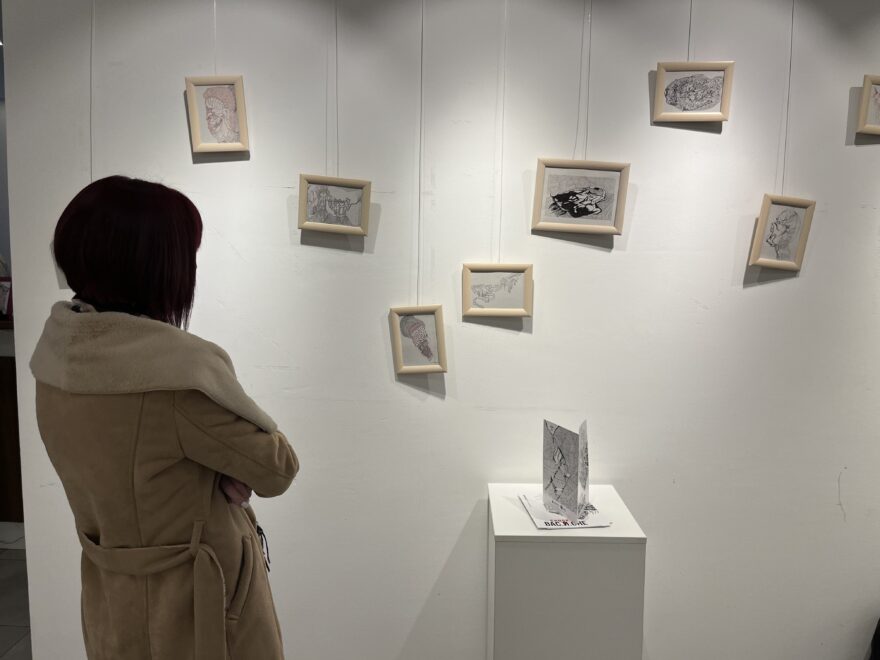 Otvorena izložba pod nazivom “Vasione” u Kulturnom centru Zlatibor