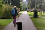 Zlatibor – destinacija prilagođena odmoru sa ljubimcima