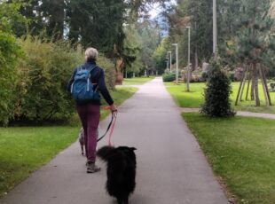 Zlatibor – destinacija prilagođena odmoru sa ljubimcima