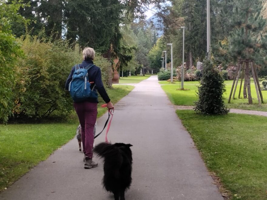 Zlatibor – destinacija prilagođena odmoru sa ljubimcima