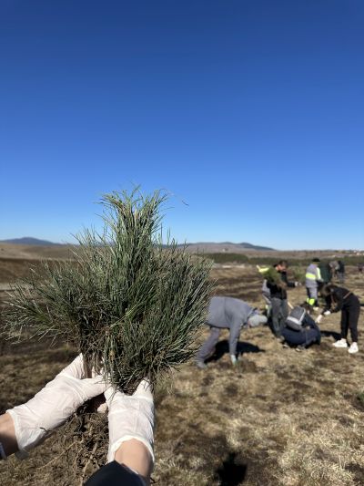 Zeleniji Zlatibor za nove generacije – zajedno sadimo budućnost!