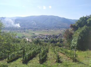 Ko bude spaljivao strnjiku može ostati bez subvencija
