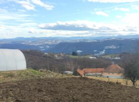 Počele prijave za gradske subvencije u poljoprivredi