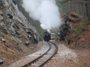 “Nostalgija” saobraća od ponedeljka