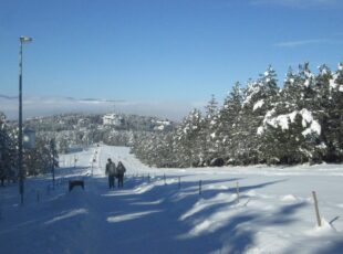 Zlatibor na 44. Međunarodnom sajmu turizma u Beogradu