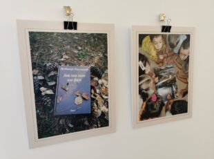 U galeriji KC Zlatibor otvorena izložba „Knjiga, jesen i ja na Zlatiboru“